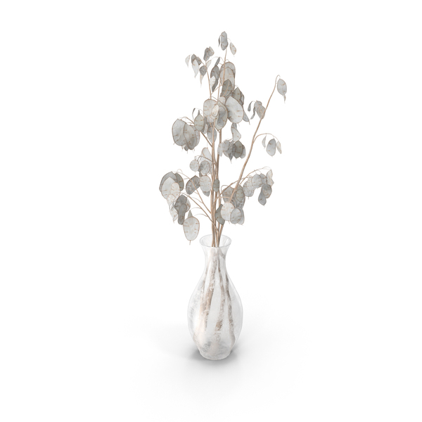 Lunaria PNG & PSD Images