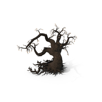 Scary Tree PNG & PSD Images