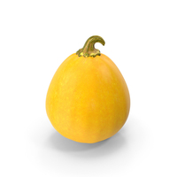 Pumpkin PNG & PSD Images