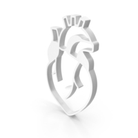 Heart Anatomy Icon PNG & PSD Images