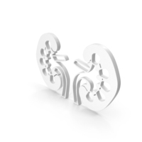 Kidney Anatomy Icon PNG & PSD Images