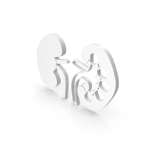 Kidney Anatomy Icon PNG & PSD Images