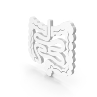 Large And Small Intestine Human Anatomy PNG & PSD Images