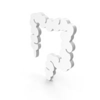 Large Intestine Icon PNG & PSD Images