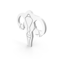 Medical Women Reproductive System PNG & PSD Images