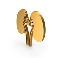 Kidneys Icon PNG & PSD Images