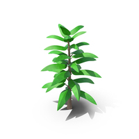 Tropical Cartoon Tree PNG & PSD Images