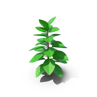 Cartoon Tree Tropical PNG & PSD Images