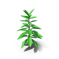 Tropical Cartoon Tree PNG & PSD Images