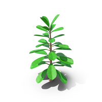 Cartoon Tree Tropical PNG & PSD Images