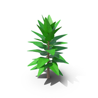 Cartoon Tree Tropical PNG & PSD Images