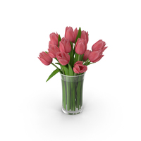 Tulips PNG & PSD Images
