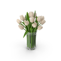 Tulips PNG & PSD Images