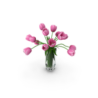 Tulips PNG & PSD Images