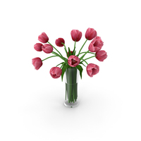 Tulips PNG & PSD Images