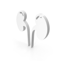 Kidney Medical Icon PNG & PSD Images
