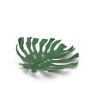 Palm Leaves PNG & PSD Images
