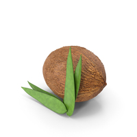 Coconut Whole PNG & PSD Images