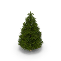 Christmas tree PNG & PSD Images