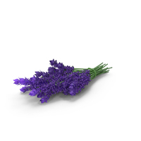 Lavender Sprigs  Bunch PNG & PSD Images