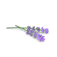 Lavender Sprigs PNG & PSD Images