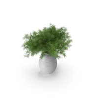 Asparagus PNG & PSD Images