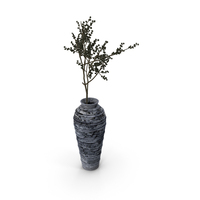 Branches PNG & PSD Images