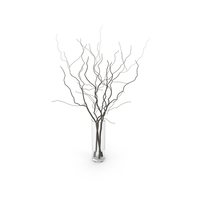 Branches In Vase PNG & PSD Images