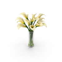 Calla Lily PNG & PSD Images