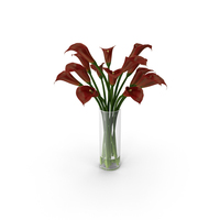 Calla Lily PNG & PSD Images