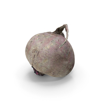 Beet PNG & PSD Images