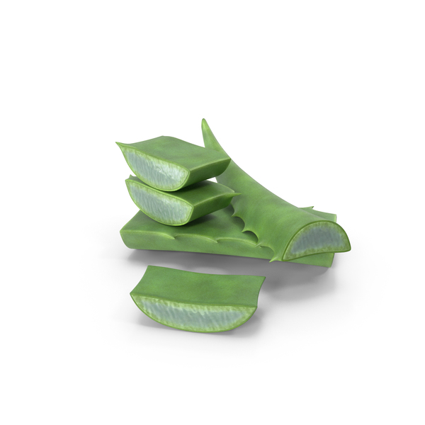 Aloe Leaves PNG & PSD Images