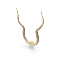 Authentic Kudu Horn Pair PNG & PSD Images