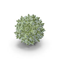 AAV Virus Green PNG & PSD Images