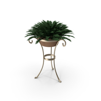 Small Plant PNG & PSD Images