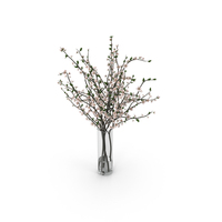 Plum Blossom PNG & PSD Images
