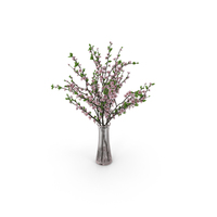 Plum Blossom PNG & PSD Images