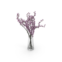 Plum Blossom PNG & PSD Images