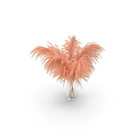 Pampas Grass PNG & PSD Images