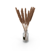 Pampas Grass PNG & PSD Images