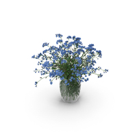 Myosotis PNG & PSD Images