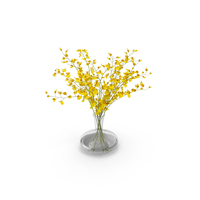 Orchid Oncidium PNG & PSD Images