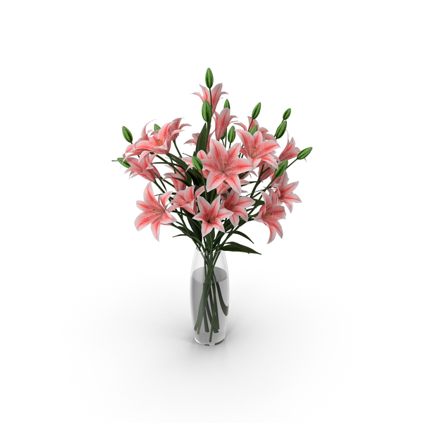 Lily PNG & PSD Images