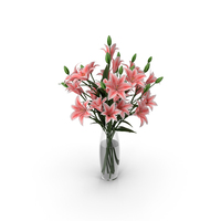 Lily PNG & PSD Images