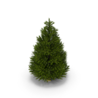 Christmas Tree PNG & PSD Images