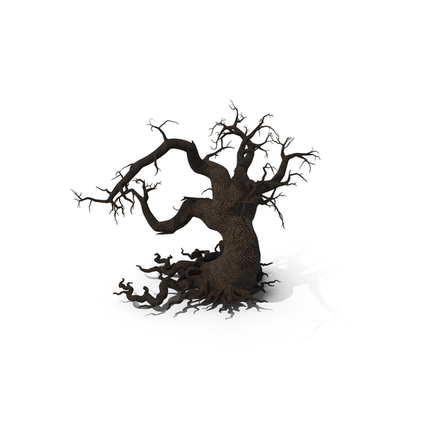 Scary Tree Without Leaves PNG & PSD Images