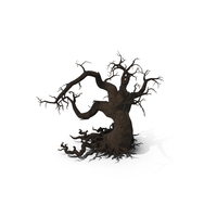 Scary Tree Without Leaves PNG & PSD Images