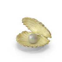 Sea Shell With Pearl PNG & PSD Images