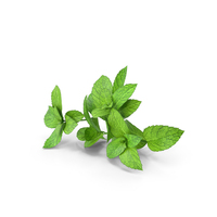 Mint Sprigs PNG & PSD Images