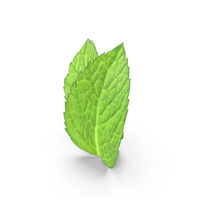 Mint Sprigs PNG & PSD Images